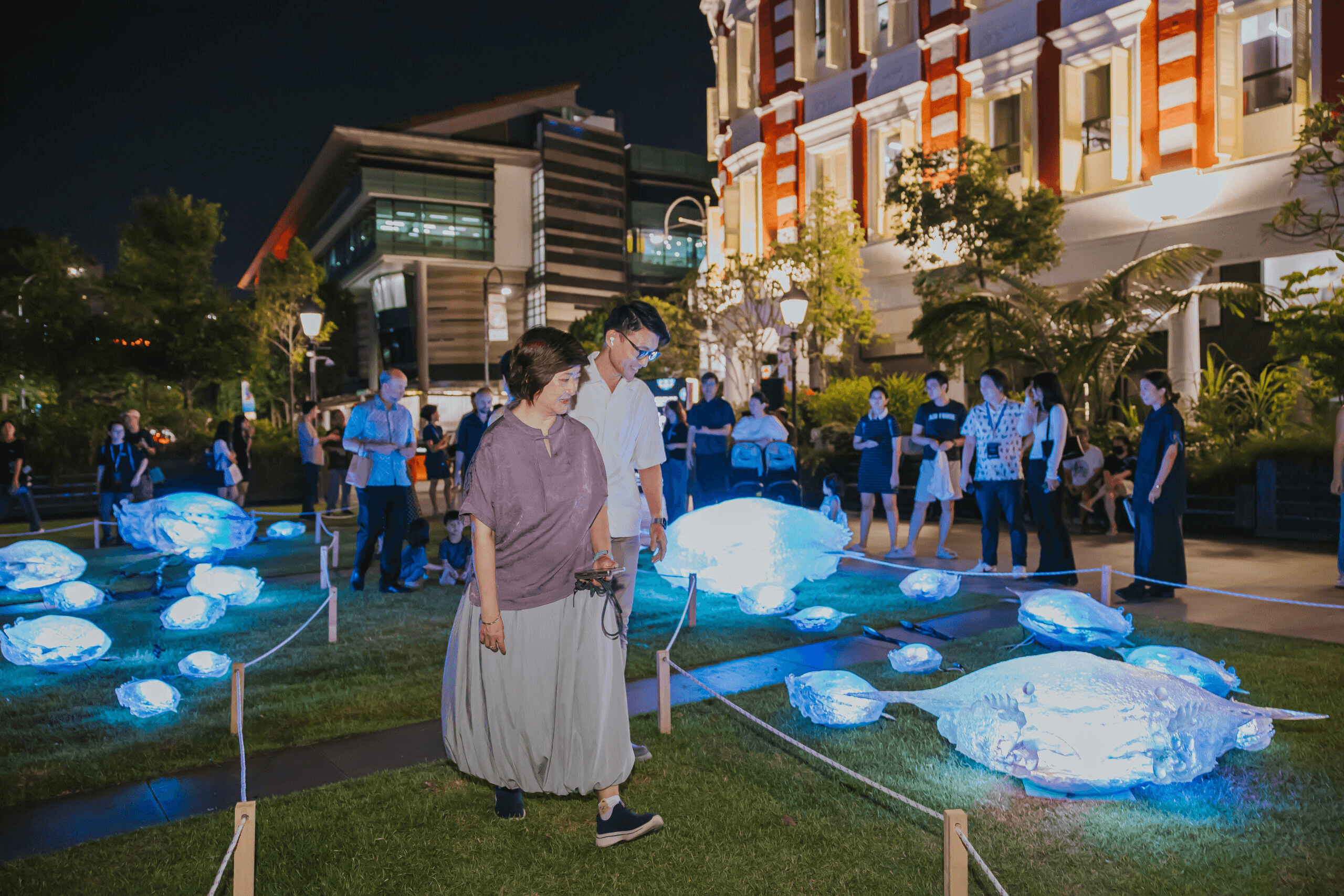 Singapore Night Festival2025 | Knoxx